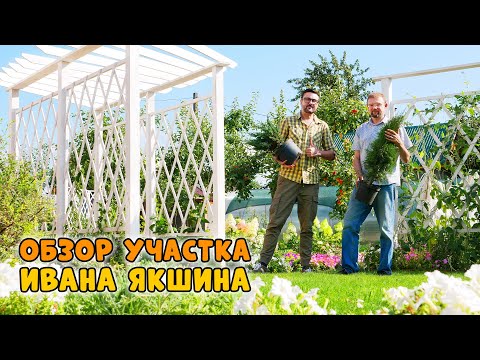 В гостях у Ивана Якшина. Участок, где есть всё!