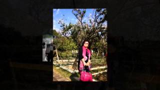 翩翩飛起⋯⋯引我走進你悲凄的眼⋯⋯在風的懷抱⋯⋯與你相聚