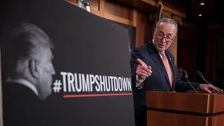 Schumer calls Trump dysfunctional as government sh