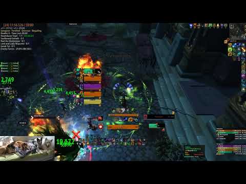 WORLD FIRST S3 Waycrest Manor +24 Sanguine Fortified Grievous Beguiling