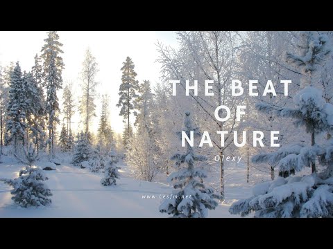 The Beat of Nature : Acoustic Folk Relaxing  Background Music
