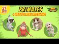 Primates Junior Rangers And Hero S Animals Adventure Educational Leo The Wildlife Ranger