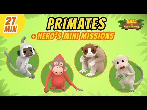 Witness21 Editor  2021 06 05