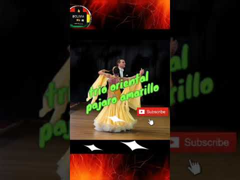 Trío oriental  el PÁJARO amarillo 🇧🇴