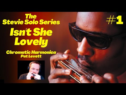 How to play Isn't She Lovely on Chromatic Harmonica - Full Stevie Wonder Solo - Pat Levett