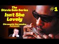 How to play Isn't She Lovely on Chromatic Harmonica - Full Stevie Wonder Solo - Pat Levett