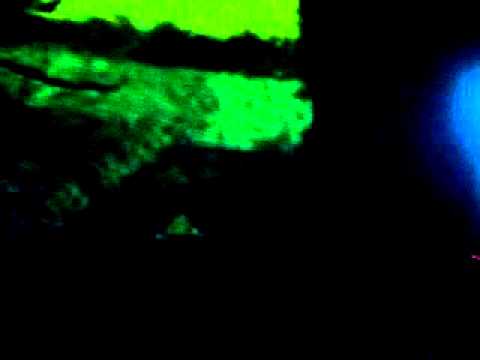 Webcam HiFi @México Dub Tour 2o11♥