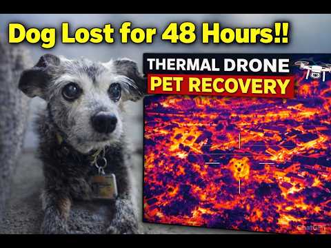 Pet Recovery
