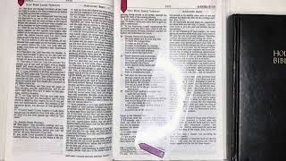 Your DAILY BREAD, THE BIBLE: 10/16/25 Psalm 123, Daniel 9:1-10:21, Luke 8:1-55.
