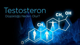 Testosteron Düşüklüğü Neden Olur Nasıl Teda