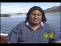 EL OSITO PARDO TU INDIFERENCIA Video Clip