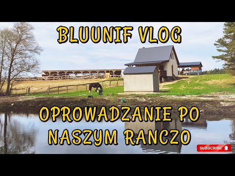 OPROWADZAM WAS PO NASZYM RANCZO / POLE NAMIOTOWE / JEZIORO POWIDZKIE / STAJNIA