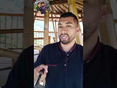 🥹 Así recordamos cuando conocimos el Mirador de Guadua en Balboa Risaralda ❤️⛰️