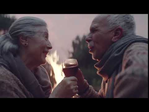 Clos de Pirque:  Juventud