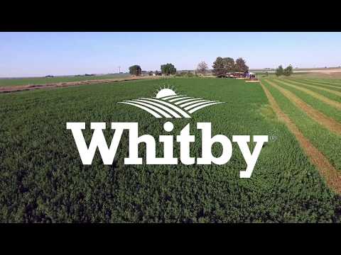 Whitby Farms - God's Country