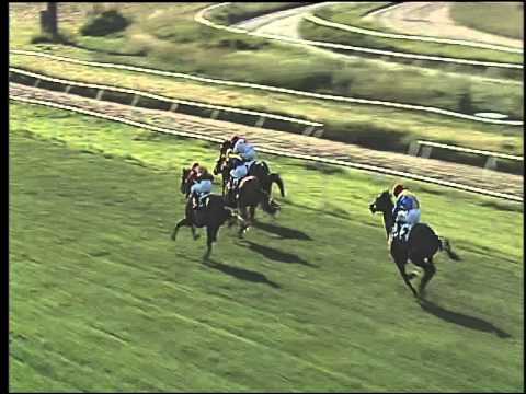 Galoppo 01/06/2015 - 3° corsa