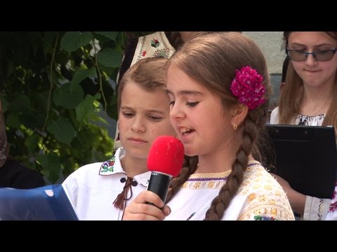 Radaseni 2016 - secvente de la Ziua Eroilor