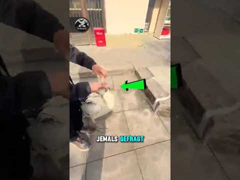 Kann dieser Vogel wirklich alles verschlucken? 😳 #Pelikan #Pelikane