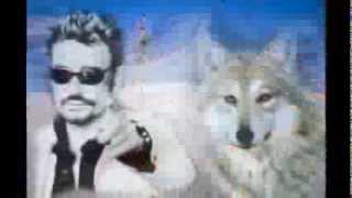 Johnny Hallyday & Les Bras En Croix.