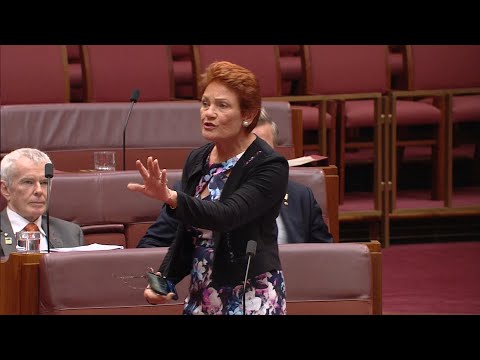 ‘You’re all a joke’: Pauline Hanson storms out of the Senate