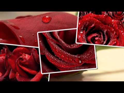 GIGA KVENETADZE-SHEN XAR SHEMI SIYVARULI!