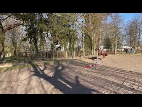 Ogano Sitte x Cassini II