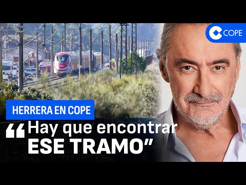 Herrera: "The Adamuz tragedy occurred because there wasn't enough time for the Alvia train to stop."