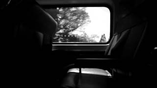 Ivory Wolf - To Tear