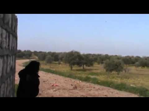 اشتباكات بين لواء أحفاد الصحابة ولواء داوود وقوات النظام في مدينة إدلب