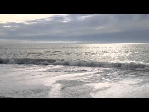 California Coastal Roadtrip: The Lost Coast