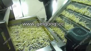 automatic potato finger chips production line supplier