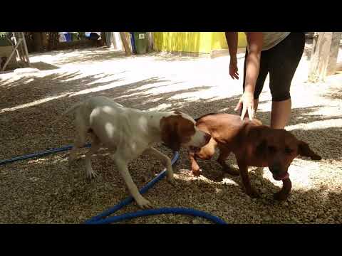 Yarel ja Gina, nuoret ja innokkaat