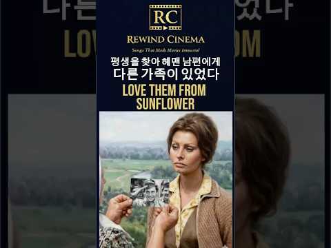 평생을 찾아 헤맨 남편에게 다른 가족이 있었다ㅣ해바라기