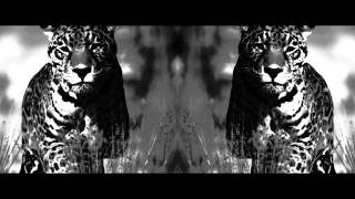 Retrohandz - Hot (feat. Lion D) - Official lyric video