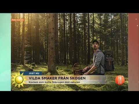 Kocken bytte finkrogen mot naturen - Nyhetsmorgon (TV4)