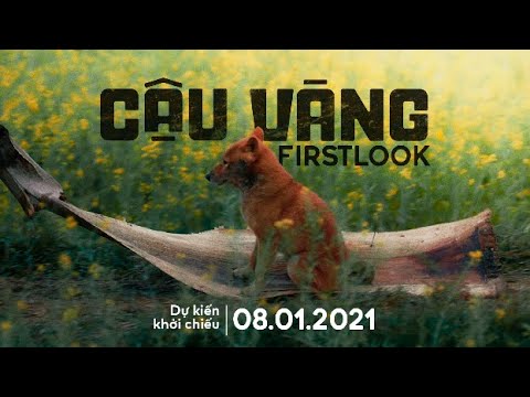 First-look phim ''Cậu Vàng