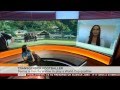 Interview with Jaiyah Saelua - BBC World News