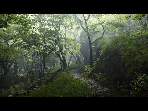 The Last Samurai Ambience & Music