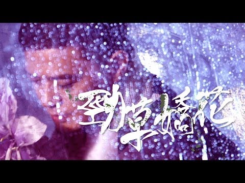 黃耀明 Anthony Wong - 勁草嬌花 MV [Official] [官方]