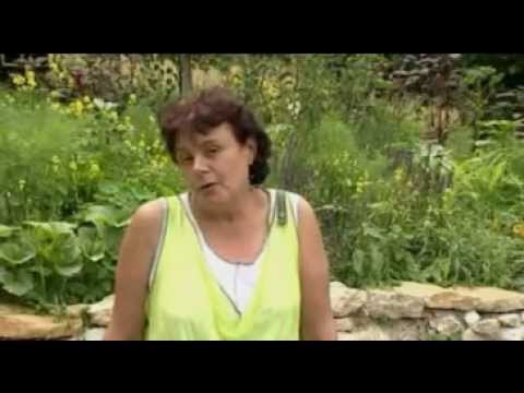 Comment démarrer un jardin en permaculture