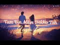 Tum Bin Main Dekho Toh Female Version Feel The Love With Emotions