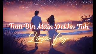 Download lagu Tum Bin Main Dekho Toh (female version) | feel the love with emotions mp3