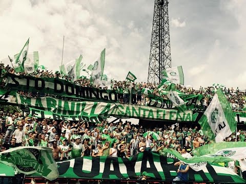 "La Hinchada Verdolaga/Nacional Vs Santa Fe/Fecha 19" Barra: Los del Sur • Club: Atlético Nacional