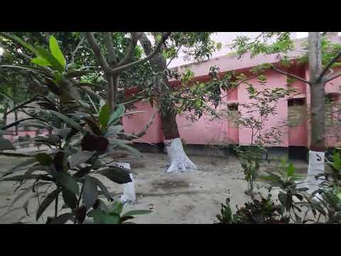 অত্র কার্যালয়ের প্রাঙ্গণে অবস্থিত বৃক্ষসমূহ