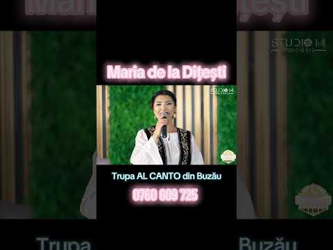 Cele mai frumoase cuvinte pentru toți tații de baieti #live #music