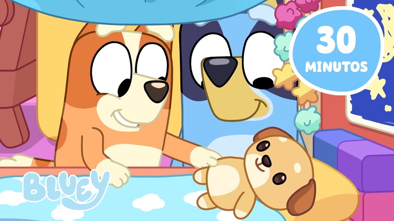 Hora da Comemoração com Bluey 🥳 | Brinquedos e Amigos 🧸 | Bluey Português Brasil Canal Oficial