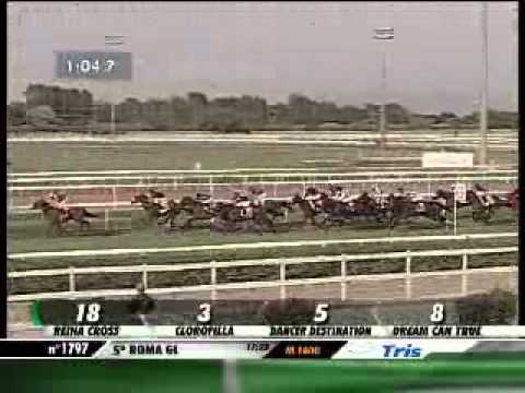 28/04/2013, Roma , Premio Regina Elena Tris Str.