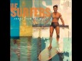 The Surfers - Never