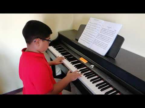 Thomann DP 95 Turkish march