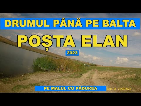 Pescuit Vaslui baraj POSTA ELAN - Drumul spre sosea de pe malul cu padurea video 4K sept 2023